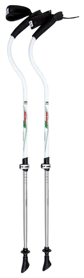 Bastoncino Ergocurve One Plus